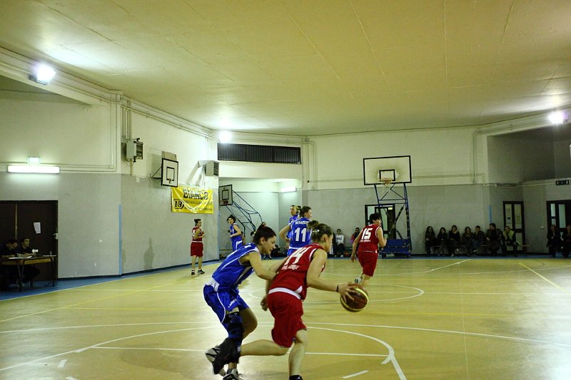 Basket 443043
